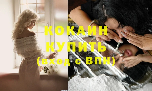 таблы Няндома
