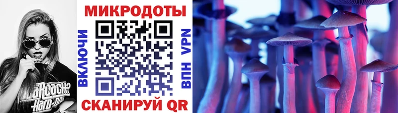 сайты даркнета формула  kraken маркетплейс  Алейск  Галлюциногенные грибы MAGIC MUSHROOMS 